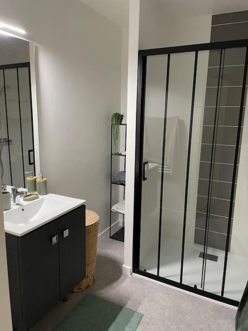 Superbe Appartement En Residence Avec Parking เลอม็องส์ ภายนอก รูปภาพ